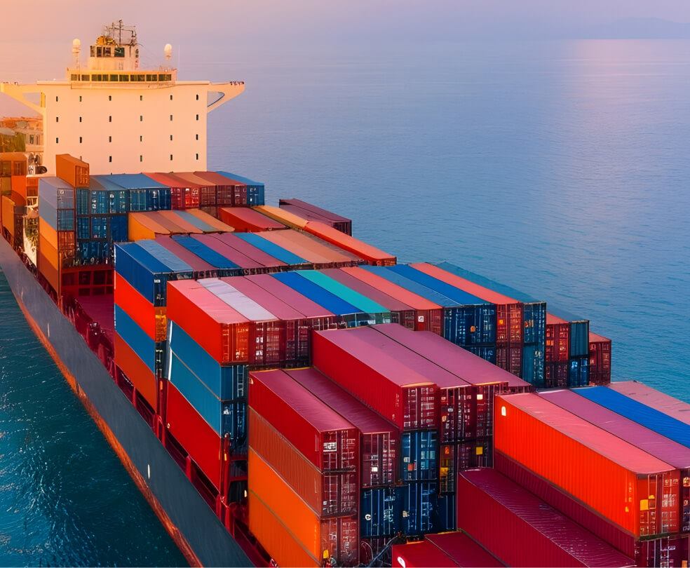 Building a Resilient Supply Chain: Lessons from India's Logistics Sector
